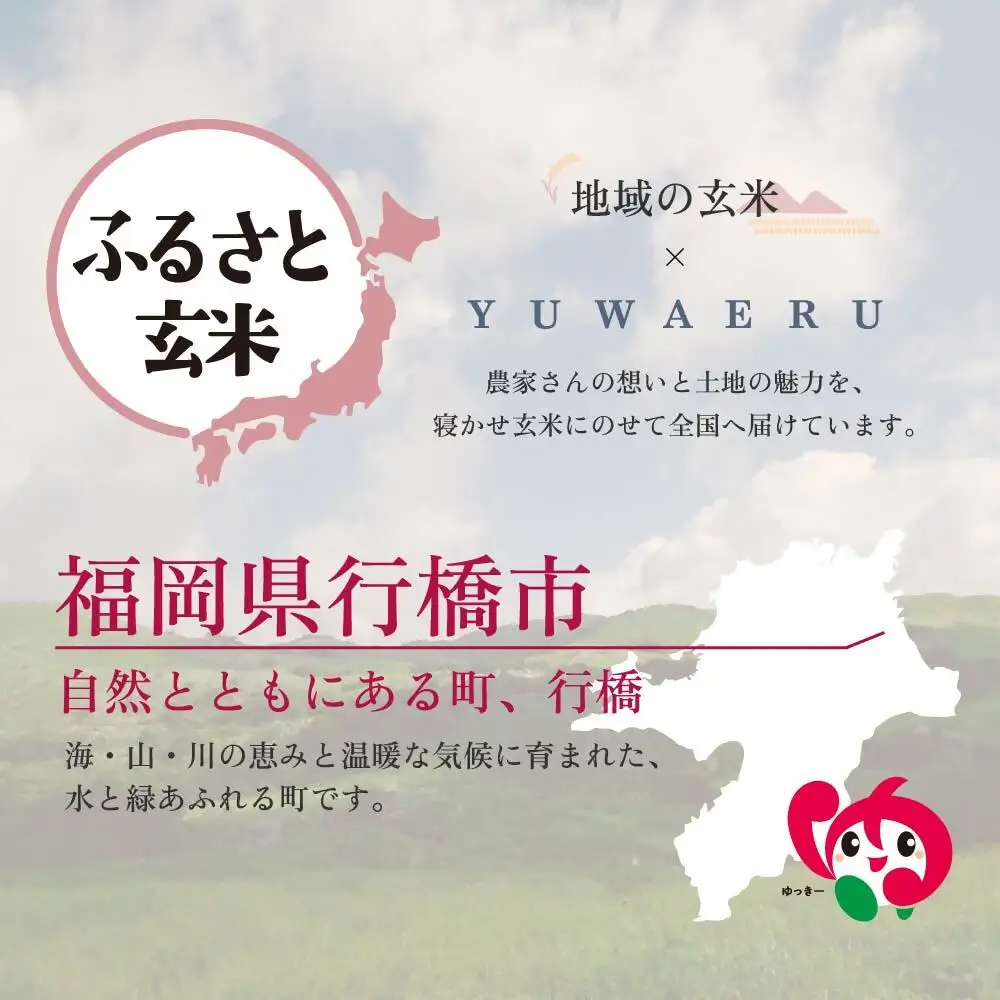 AI-187_【ふるさと玄米】寝かせ玄米ごはんパック　福岡県行橋市産【160g×6食セット】