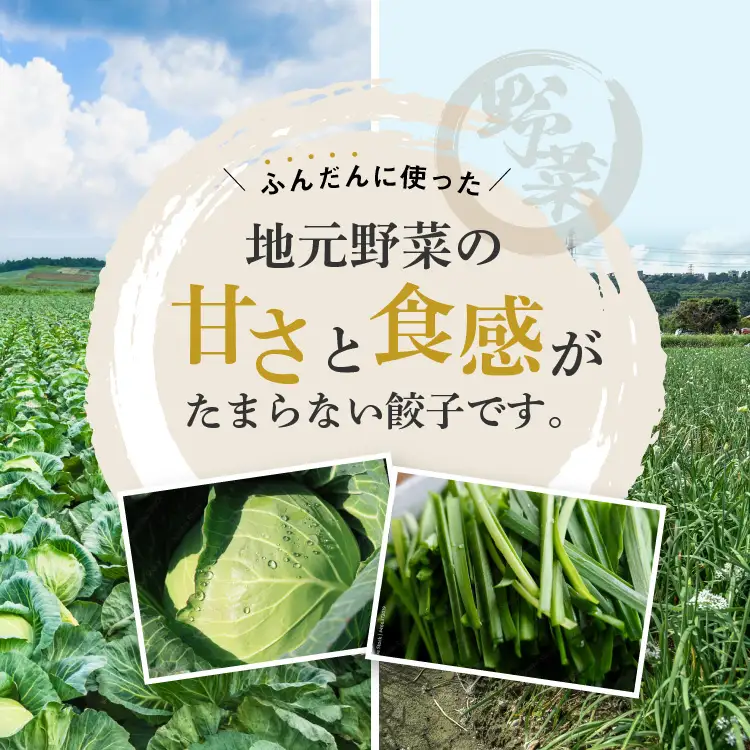 【定期便6回】たじまや オリジナル ビッグ 餃子 大きい 20個
