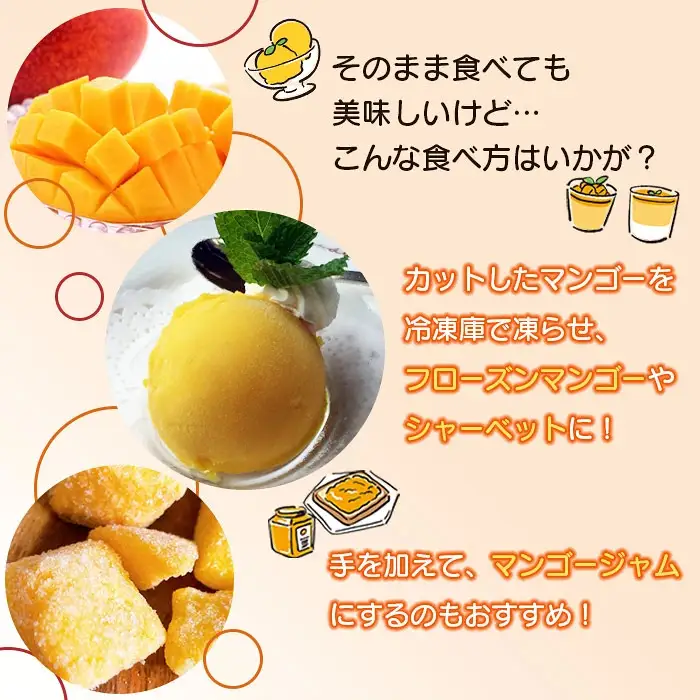 ＜宮崎県産完熟マンゴー｢家庭用｣(約1.5kg)＞ 果物 フルーツ マンゴー くだもの 特産品 完熟 国産 ご家庭用 宮崎県 高鍋町【冷蔵】