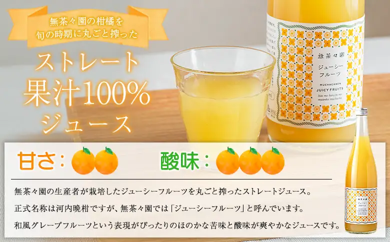 ＜無茶々園のジューシーフルーツジュース 720ml 3本＞『1か月以内に順次出荷予定』柑橘 果物 オレンジ フルーツ ストレート 果汁100% ジューシーフルーツ じゅーしーふるーつ 河内晩柑 丸ごと 飲んで応援 特産品 無茶々園 愛媛県 西予市 【常温】AMC0074