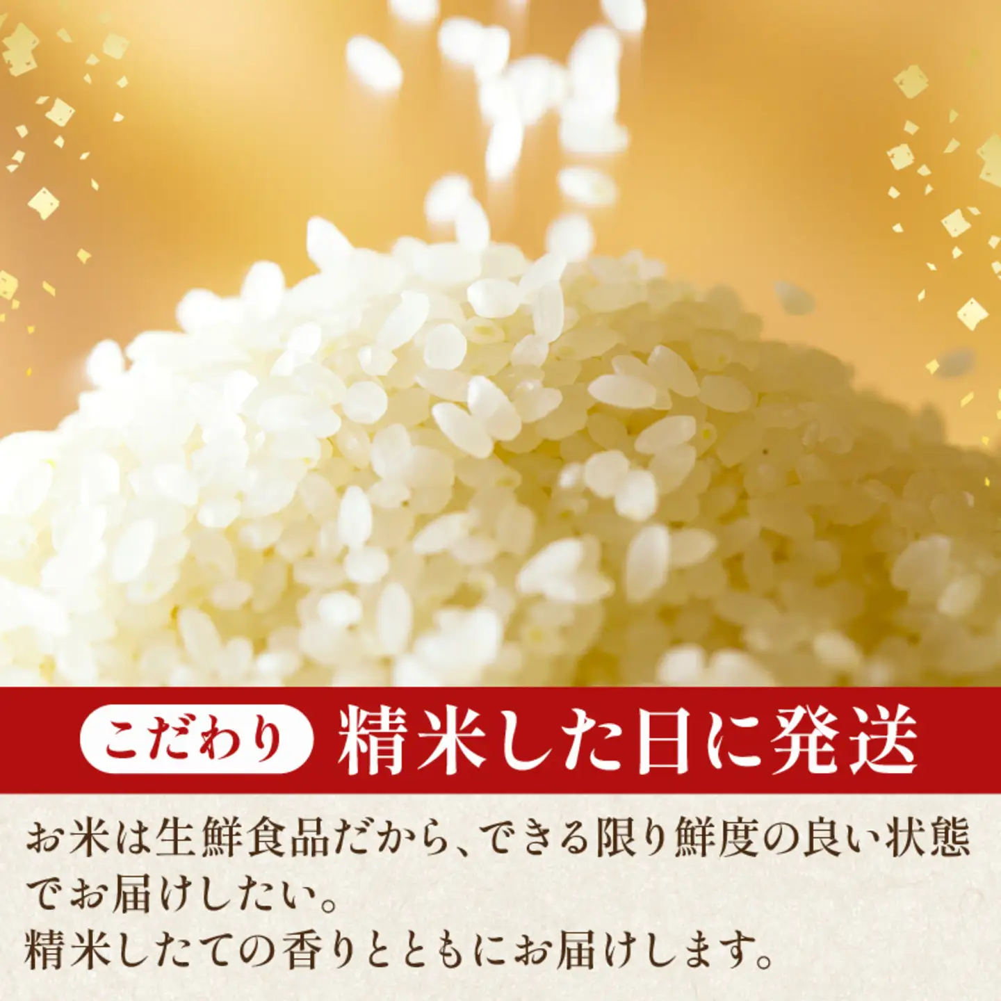 令和8年産 米 コシヒカリ 5kg 【お米】