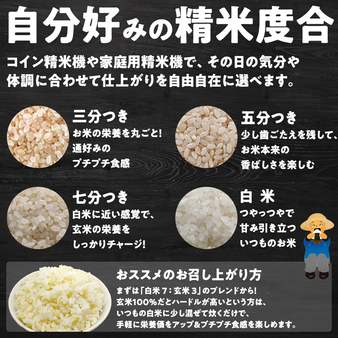 【最短2営業日出荷】 コシヒカリ 玄米 30kg