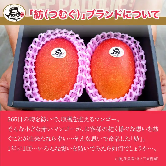 ＜完熟マンゴー 「紡」 2L×3個＞ 果物 フルーツ マンゴー くだもの 特産品 完熟 国産 宮崎県 高鍋町【冷蔵】