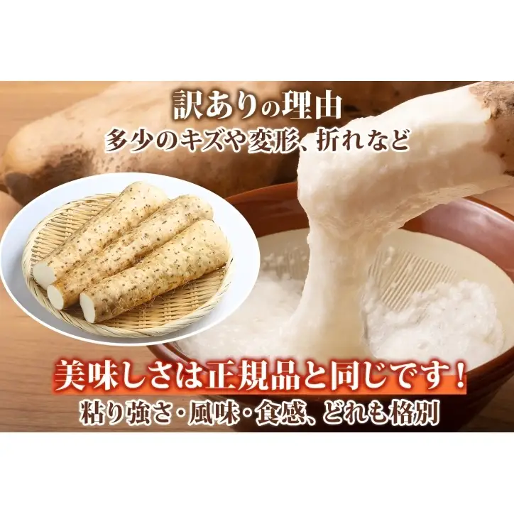 洞爺湖町産 訳あり 長芋 約10kg 2026年12月上旬から順次お届け 長いも
