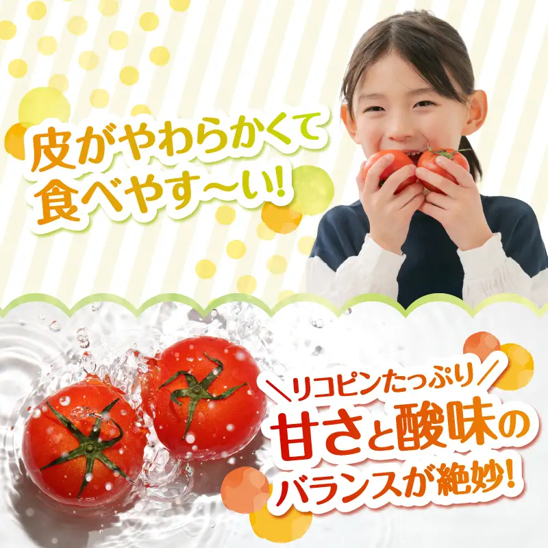 【先行予約】ミディトマト はなひめ 1kg 【JAふくおか八女】【2026年12月発送開始】 フルティカ はなひめ JAふくおか八女 皮やわらかい 食べやすい 大玉トマト 高満足度 リコピン ヘルシー 人気 ブランドトマト 002-025