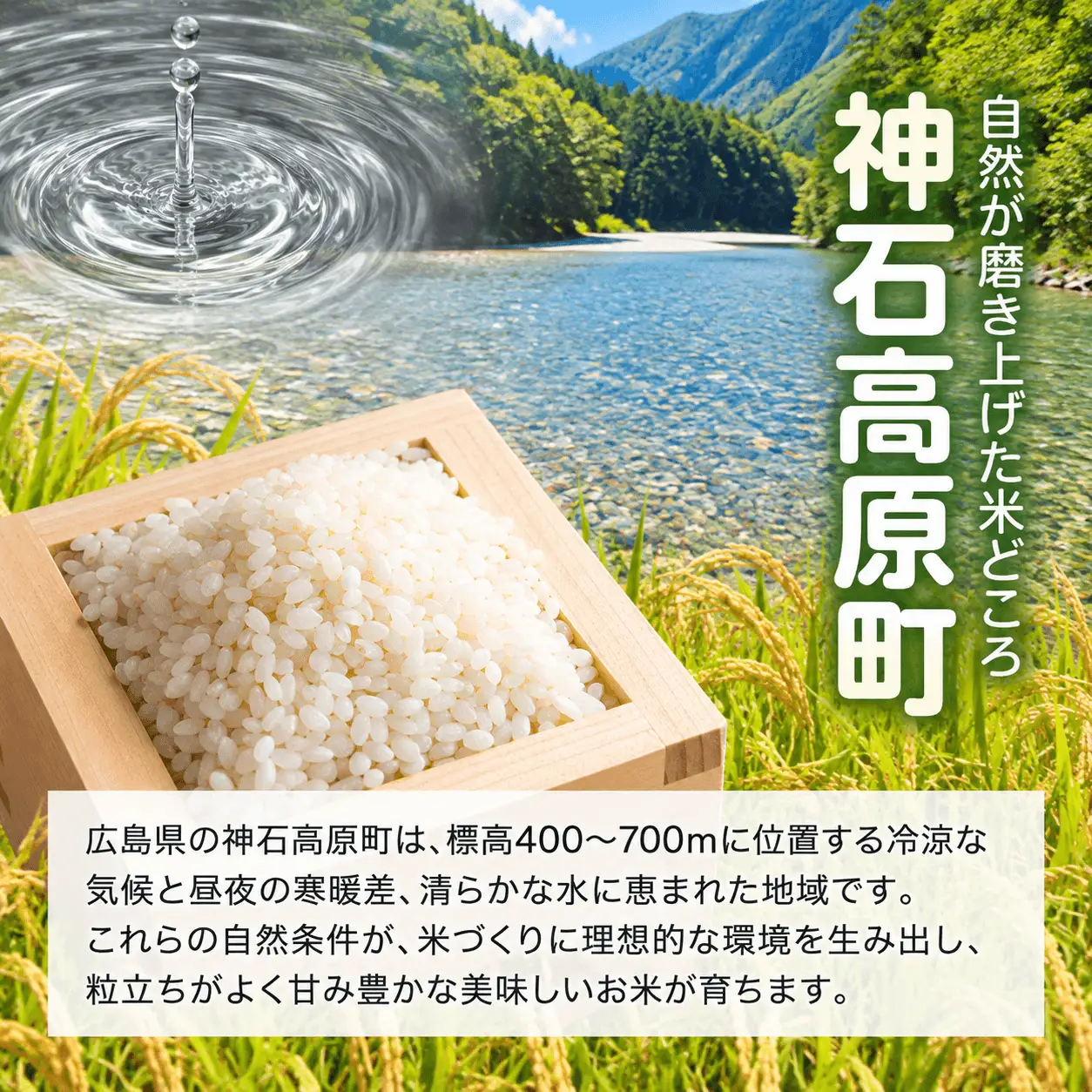 【ふるさと納税】パックごはん 150g×3個 神石高原町産こしひかり使用 レンジで簡単 常温保存 国産米