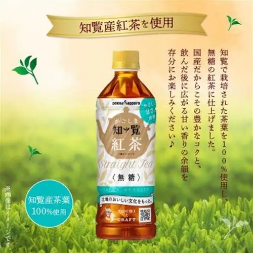 知覧かごしま紅茶 ペットボトル24本【1756789】