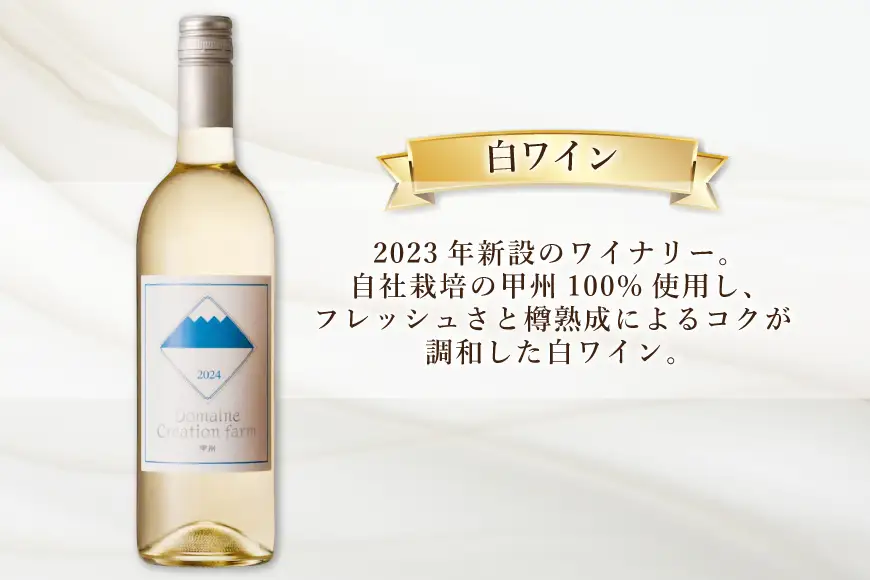 ワイン 6回 定期便 赤 赤ワイン マスカット・ベーリーA 白ワイン 甲州 各750ml 計2本 1500ml