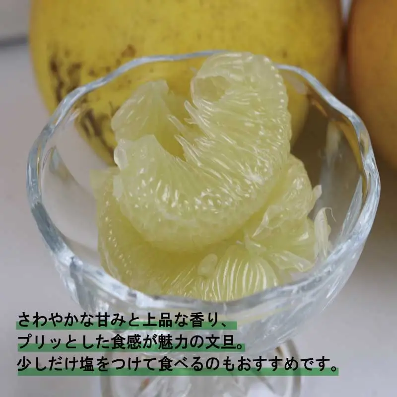 訳あり 文旦 10kg マル南フルーツ 文旦 B010-106038