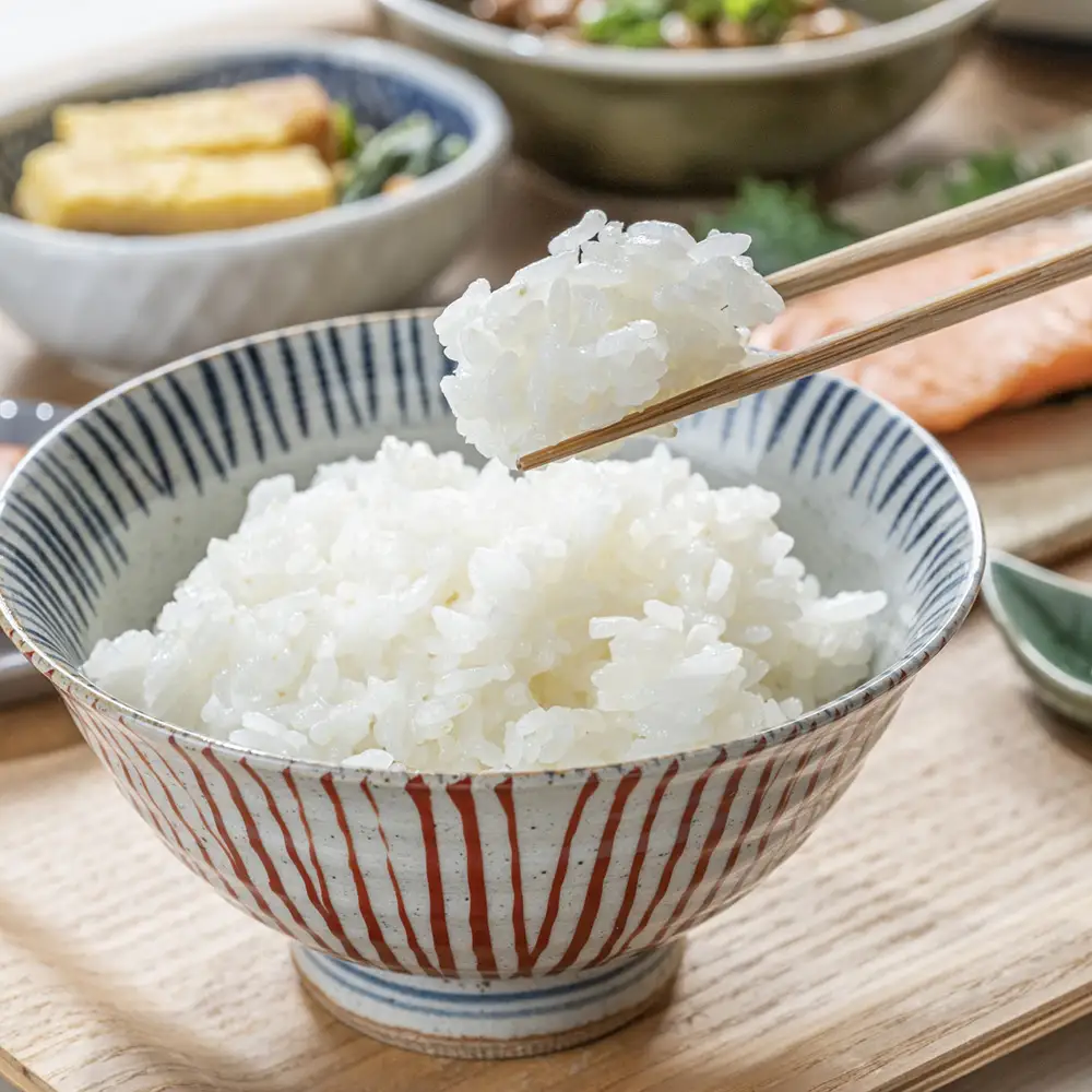 【令和7年産】コシヒカリ5kg　【07208-0926】