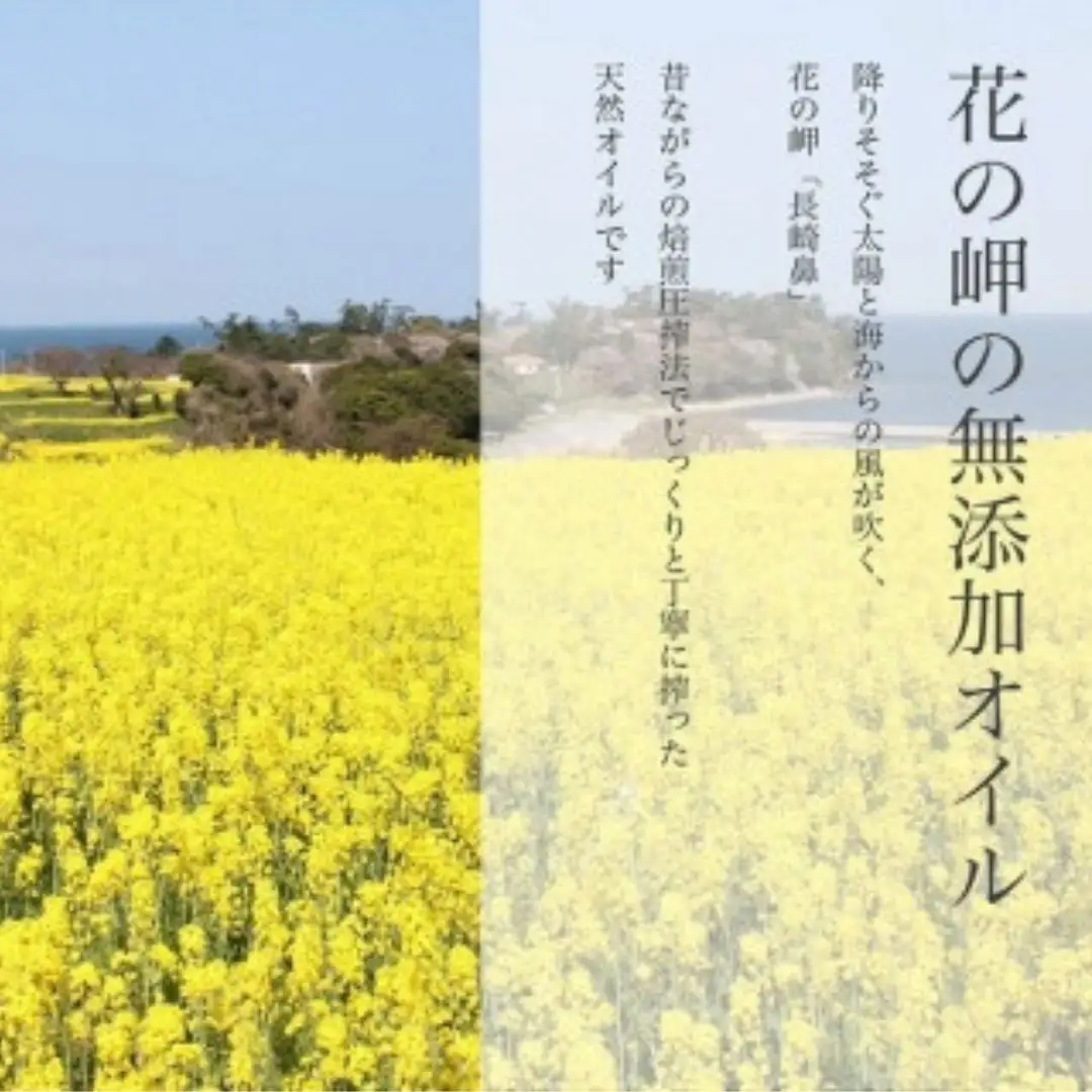菜種油【隔月定期便3回】菜種油1.5L | 菜の花油