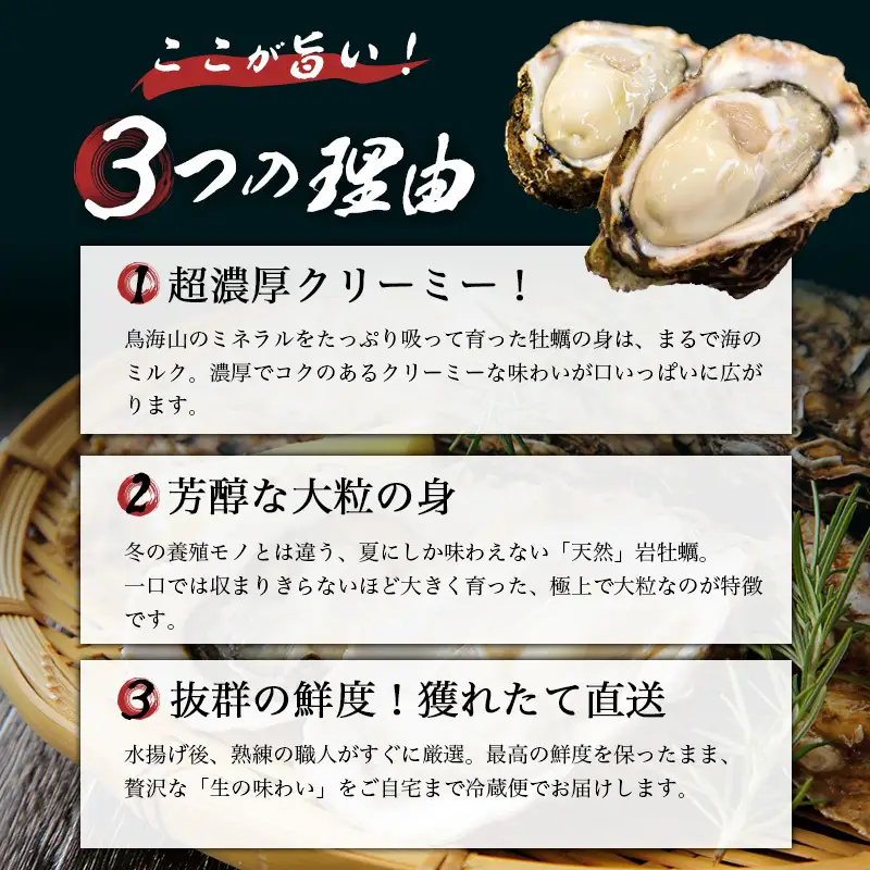 《ナイフ付》 生食用 殻付き 象潟産 天然 岩牡蠣 10個 約3kg 300～400g/個 直径10cm 岩ガキ 冷蔵 濃厚 新鮮 殻剥きナイフ付 贈り物 ギフト お取り寄せ 日本海 産地直送 秋田県 にかほ市 マルイチ水産