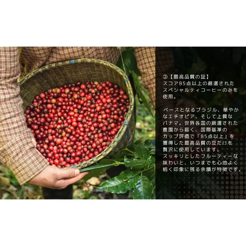 竹の山Blend（焙煎コーヒー豆）200g 珈琲 コーヒー 豆 焙煎 焙煎豆 ブレンド 愛知県 日進市