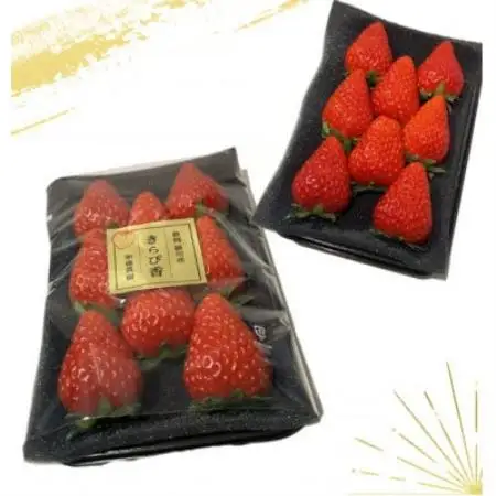 【2027年先行受付】いちご【きらぴ香】1箱 (1箱4パック入り 約250g×4)【配送不可地域：離島・北海道・沖縄県・四国・九州】【1634075】
