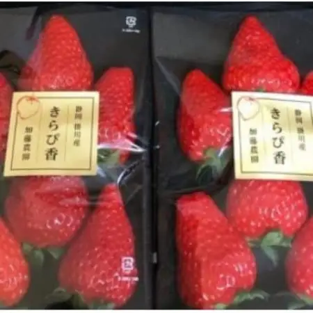 【2027年先行受付】いちご【きらぴ香】1箱 (1箱2パック入り 約250g×2)【配送不可地域：離島・北海道・沖縄県・四国・九州】【1634076】