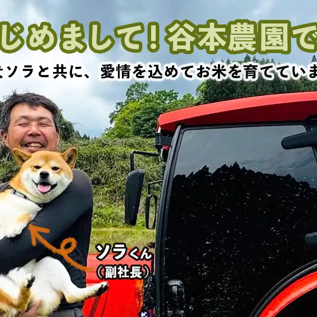 宇陀の自然が育てた 天空【sora】極 ひとめぼれ 5kg｜特別栽培米・奈良県宇陀産 白米
