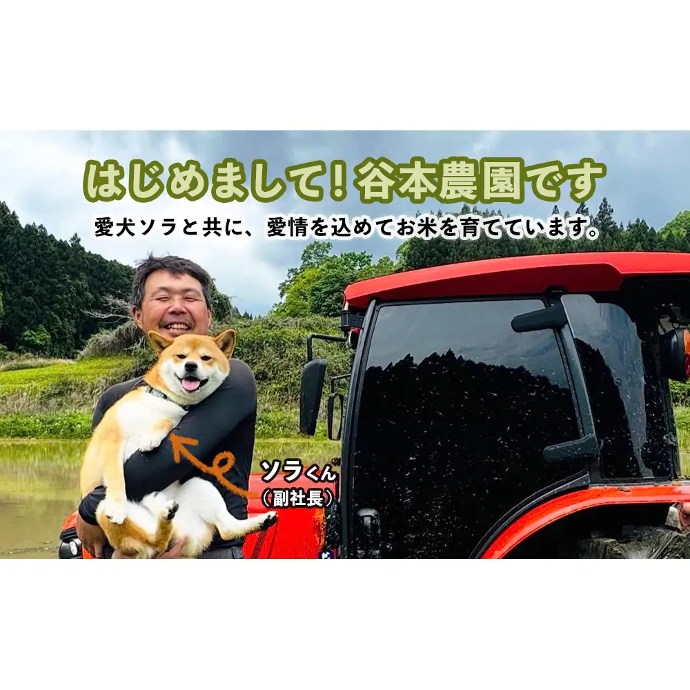 宇陀の自然が育てた 天空【sora】コシヒカリ 定期便 5kg×6回｜奈良県宇陀産 白米
