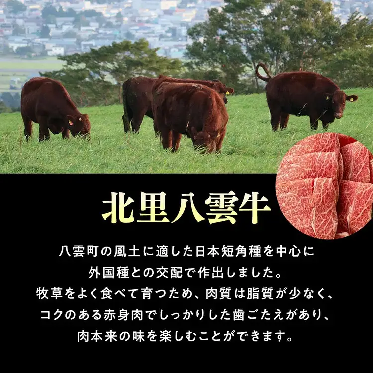 無塩せき コンビーフ 95g×2缶 北里八雲牛