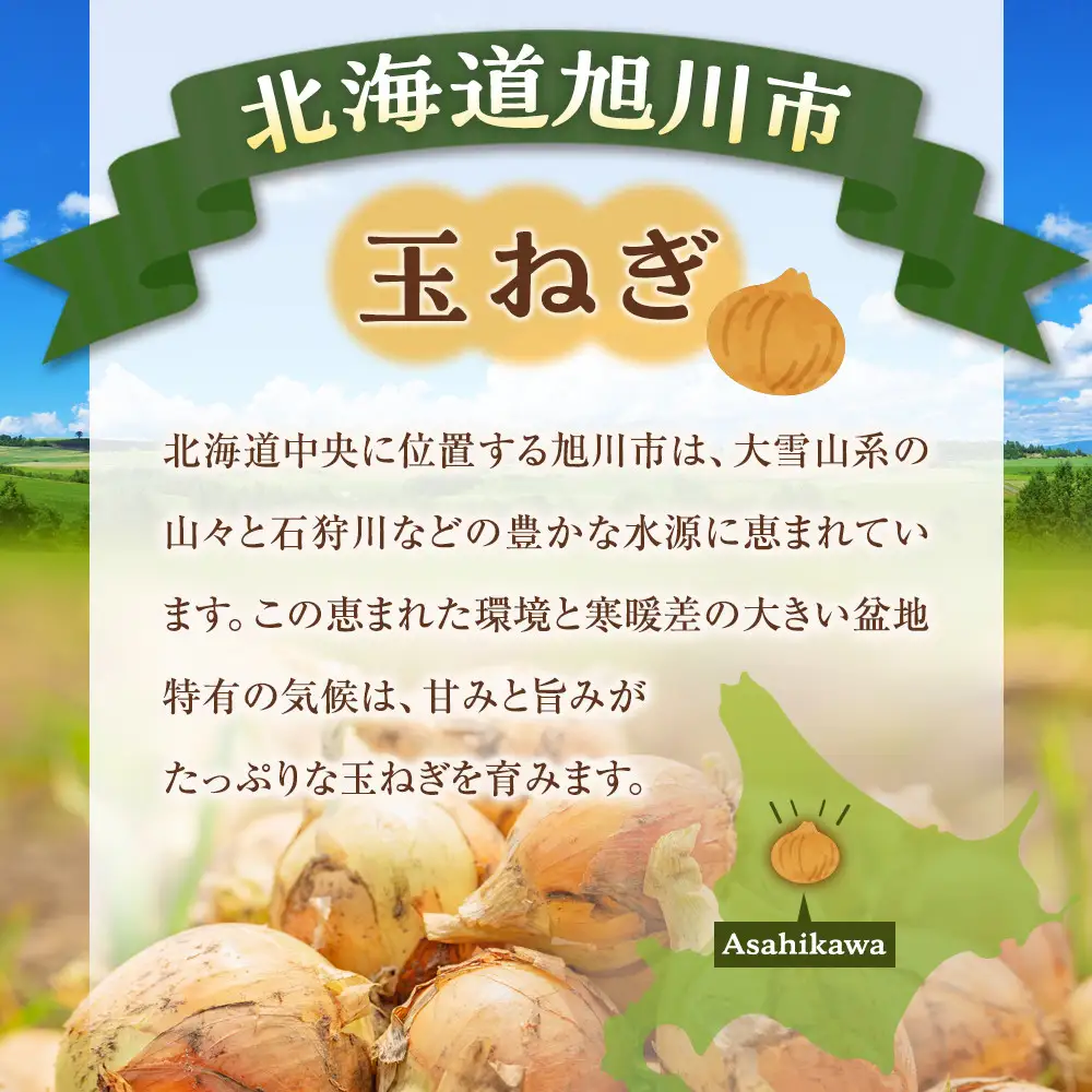 【先行予約】農家直送 低農薬 旭川産 玉ねぎＬサイズ20kg(2026年9月発送開始予定)_ | 玉ねぎ 05935