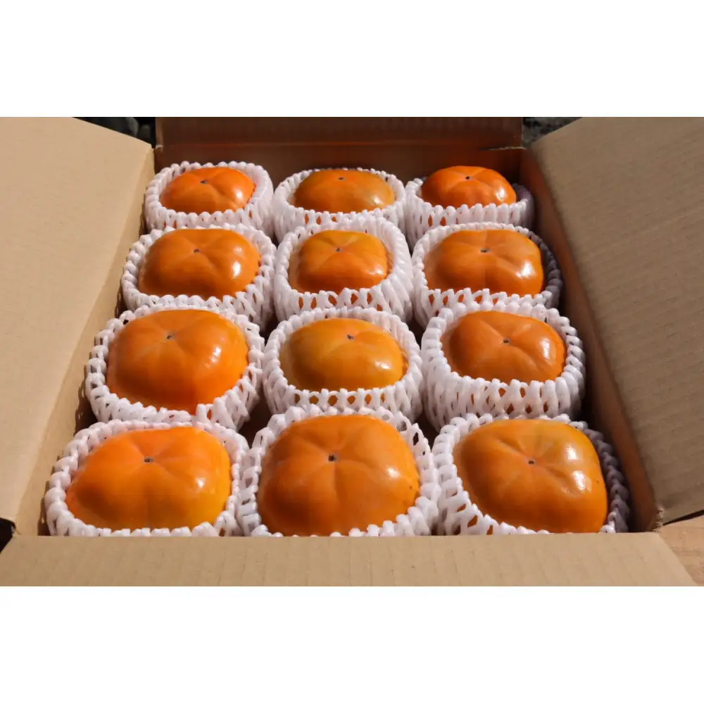 ［産地直送］和歌山県産 柿 約5kg 秀品［US68］