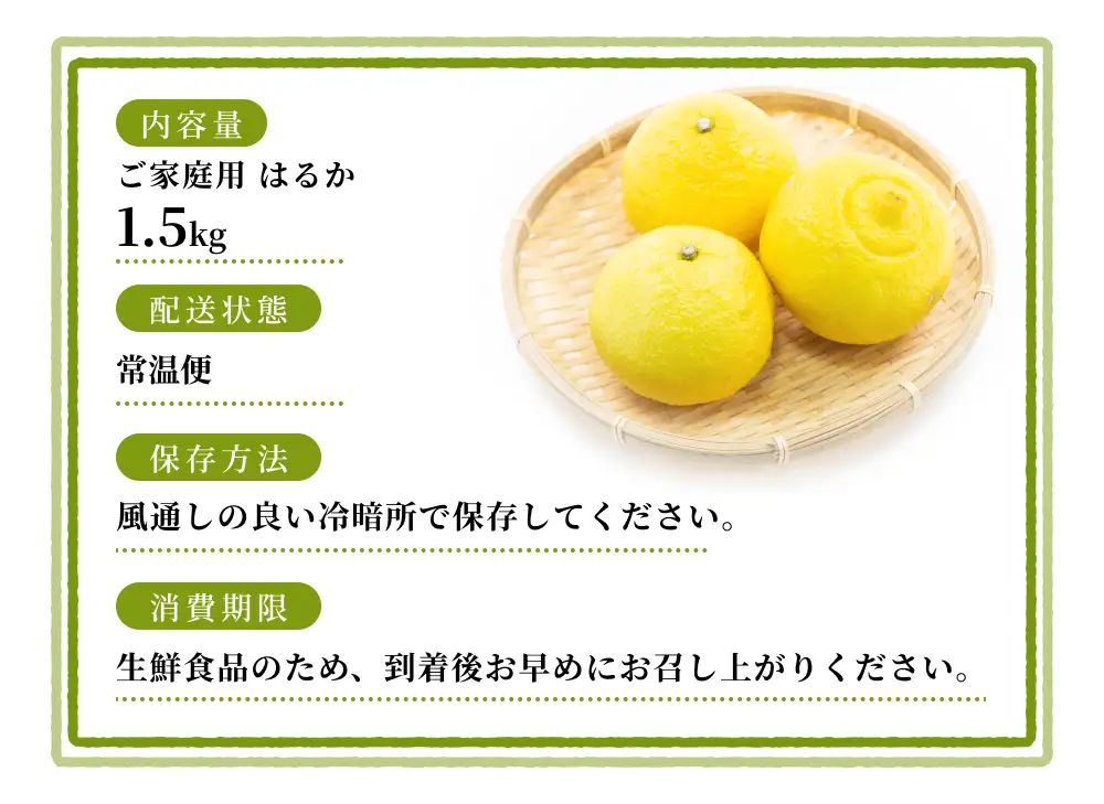 【ご家庭用】 森本農園の手選別 はるか 約1.5kg 和歌山県産 サイズ混合 【北海道・沖縄・離島配送不可】【2027年3月上旬～2027年4月上旬頃に順次発送】【BV-mrmt108】