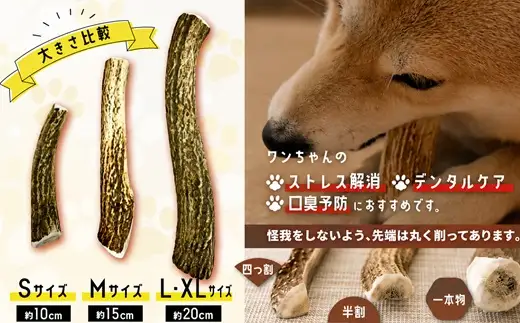犬用「鹿の角」XLサイズ×2本[53-1636]