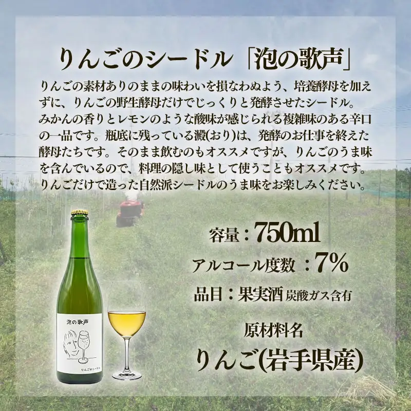 【14日以内発送】 りんごのシードル 泡の歌声 750ml×1本