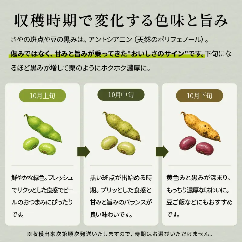 寄付額見直し 月間ランキング入り〈予約〉丹波黒枝豆 2kg (500g×4）小分け 枝豆