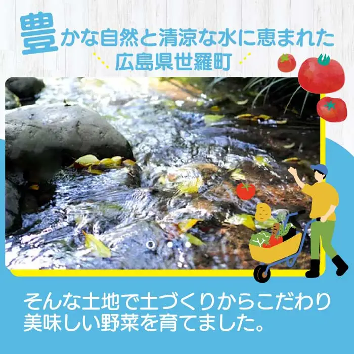 季節の野菜詰め合わせセット 7～10類 A079-01
