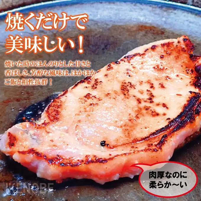 塩麹漬け豚ロース肉約1.2kg(12枚入） ロース 味付け肉 【豚肉】【ho1747】