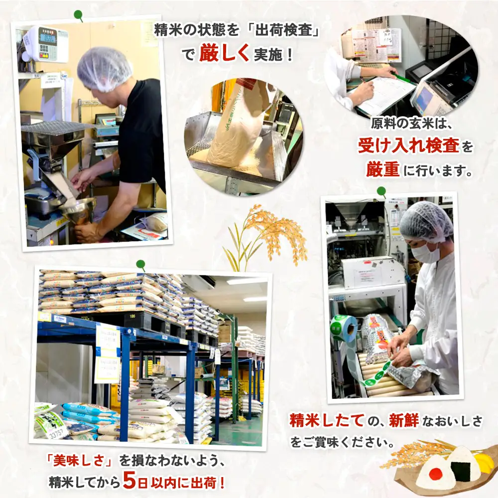 ☆2010年から連続特A受賞☆令和7年産 さがびより 10kg(5kg×2袋) K082003