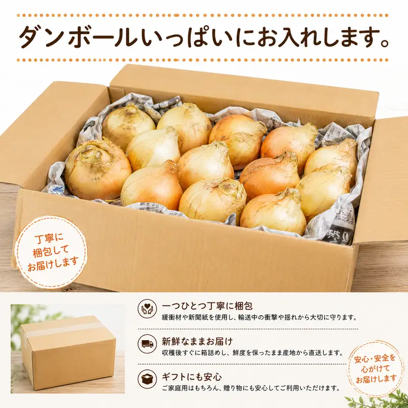 たまねぎ 5kg もみじ 三好市 【 野菜 玉ねぎ 】