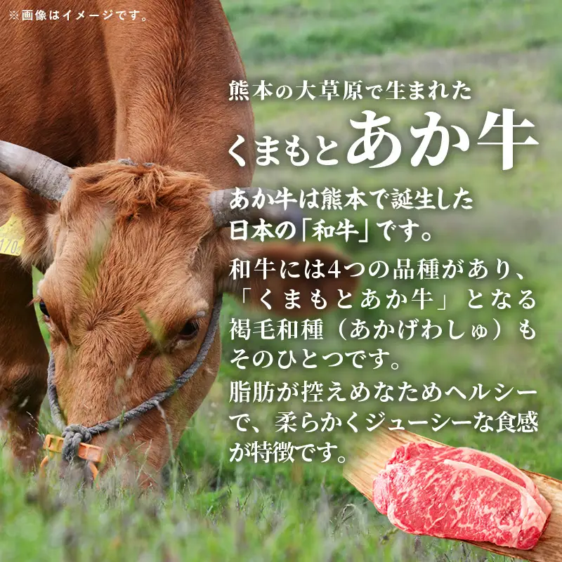 【定期便3回】 GI 認証 くまもとあか牛 ロースステーキ 約500g - 肉 牛肉  和牛 熊本県 甲佐町
