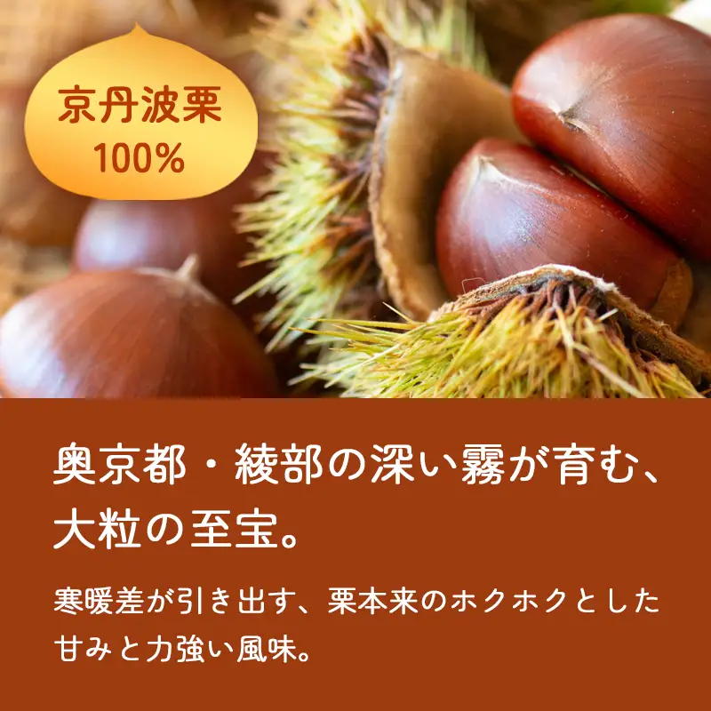 京丹波栗100% ミニ栗あんぱん 5個