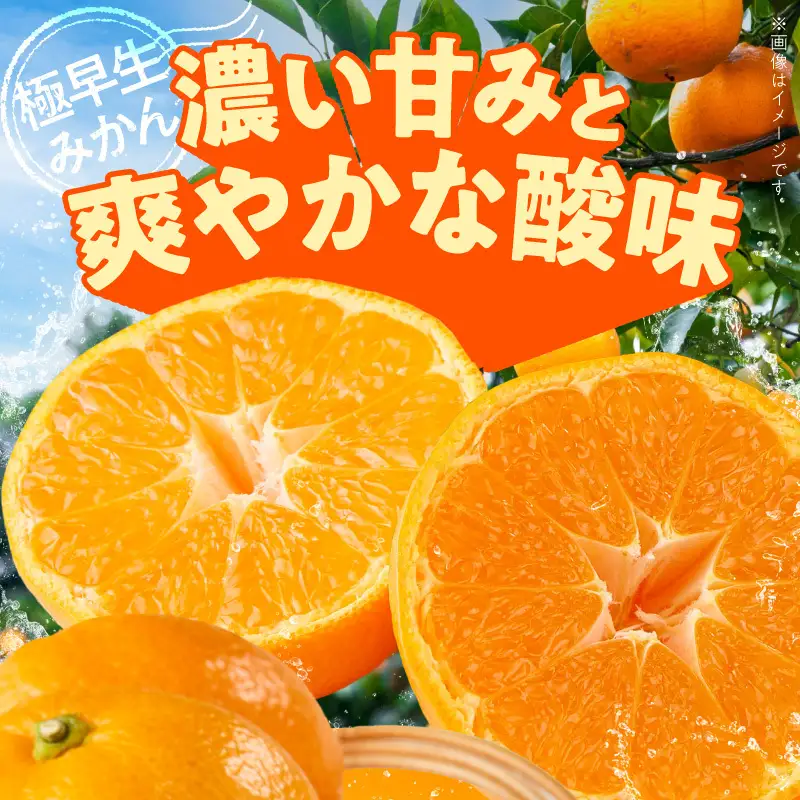 《2026年11月上旬～11月中旬頃までに順次発送予定》【2026年先行予約】有田みかん 極早生 約2.6kg 訳あり_TR1001