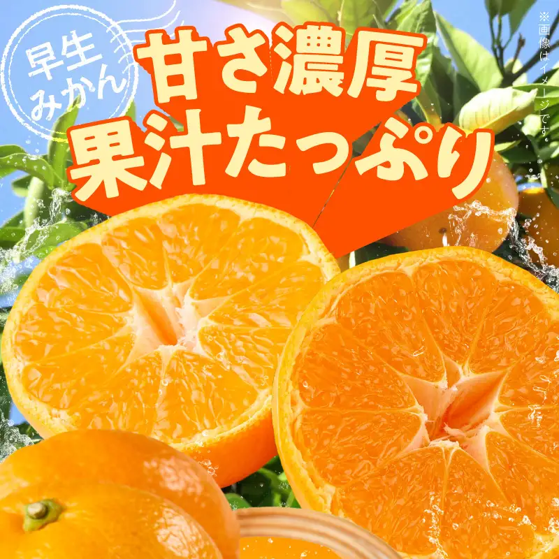 《2026年12月上旬～12月下旬頃までに順次発送予定》【2026年先行予約】有田みかん 早生 約2.6kg 訳あり_TR1004