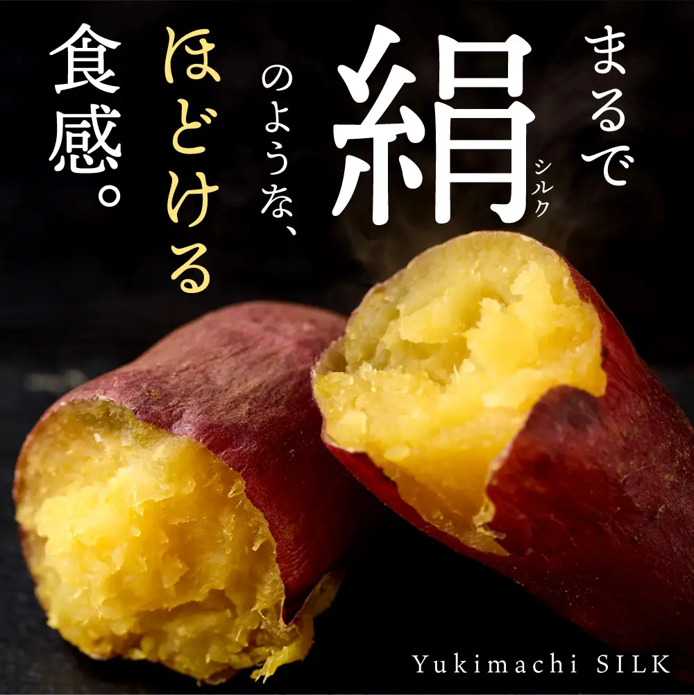 【先行予約】ゆきまちシルク 3kg（11月発送） | シルクスイート さつまいも 北海道 石狩市