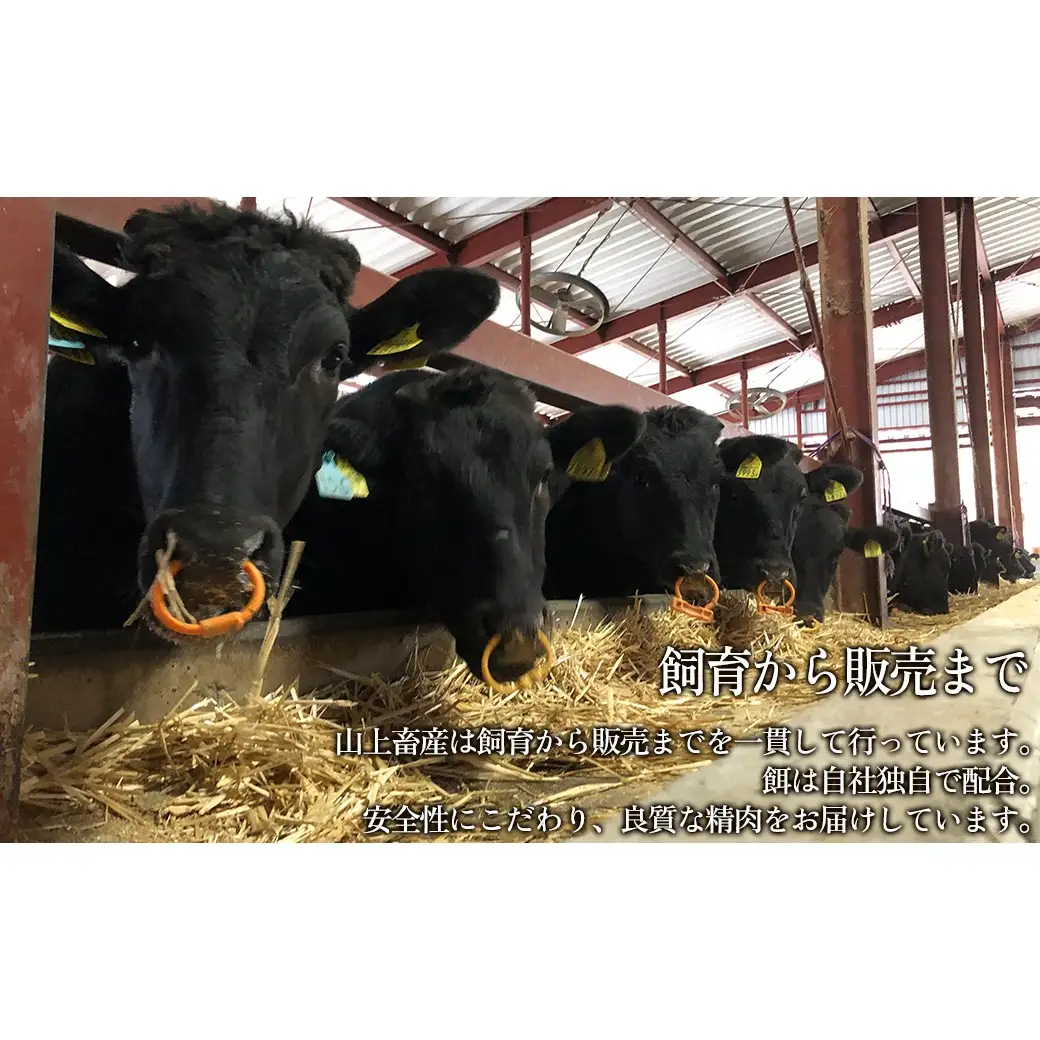 【牧場直売店】兵庫県産黒毛和牛 焼肉用ロース 500g 牛肉 国産牛 山上牛