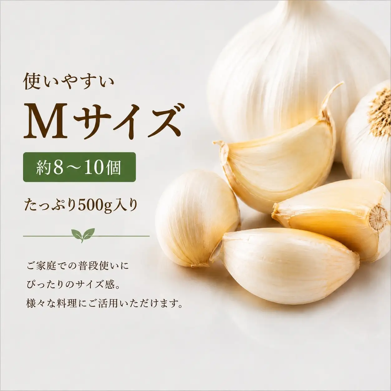 【2026年9月発送】標茶の恵み　こだわりのにんにく　１箱500グラム入り（Mサイズ約８～１０個）