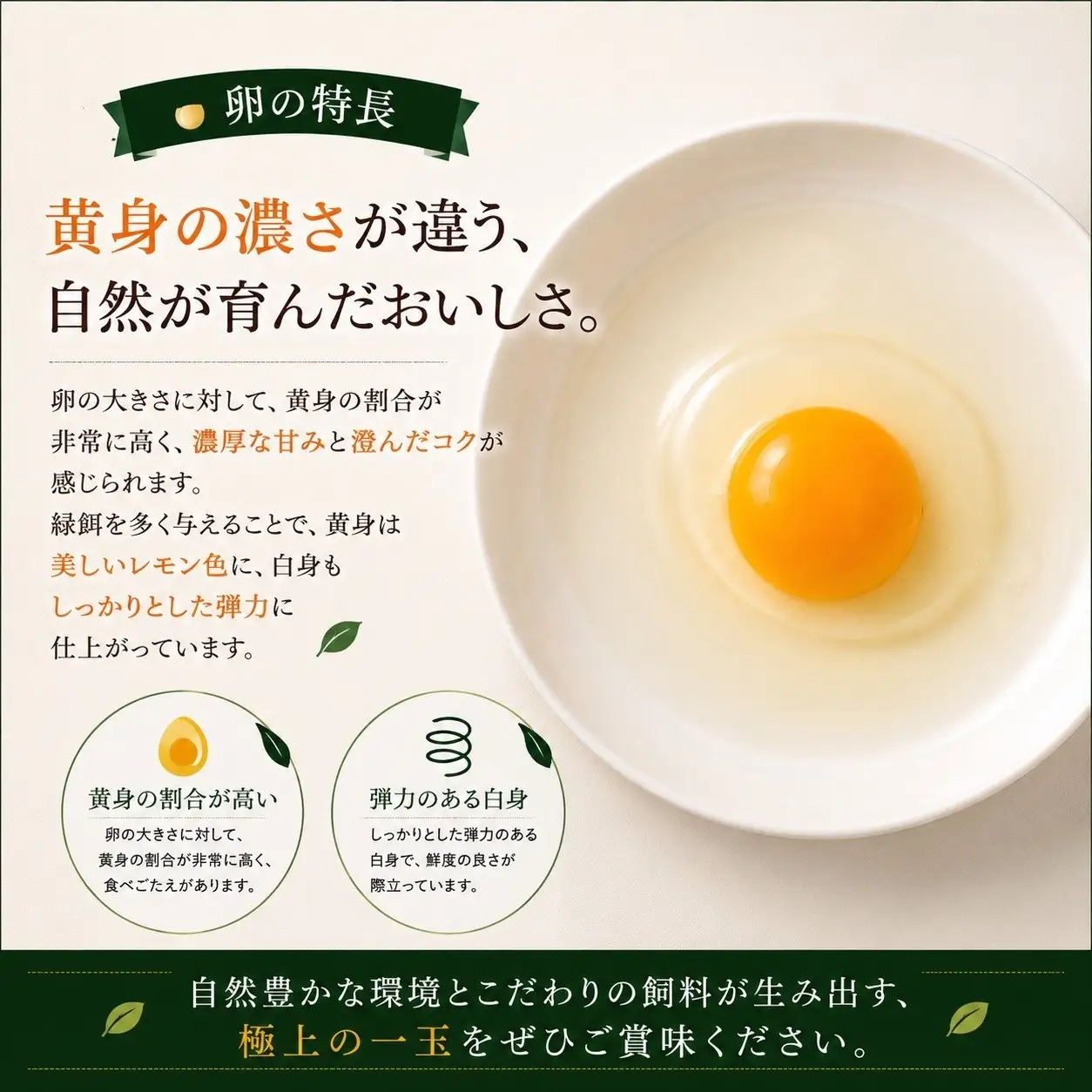 【限定50セット】標茶の恵み「平飼い 純国産 岡崎おうはん　こだわりの卵１箱 10個入り1セット」