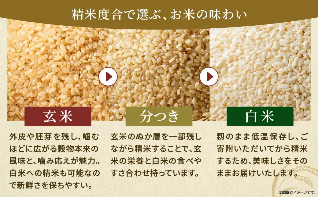 天日干しが引き出す お米の旨味 日向江戸米（にこまる）【分つき】計10kg 国産米 ブランド米 農薬不使用 化学肥料不使用 無農薬 ごはん ご飯 おにぎり お弁当 冷めても美味しい 精米したて 和食 主食 人気 おすすめ 宮崎県 綾町 送料無料_A0038-039