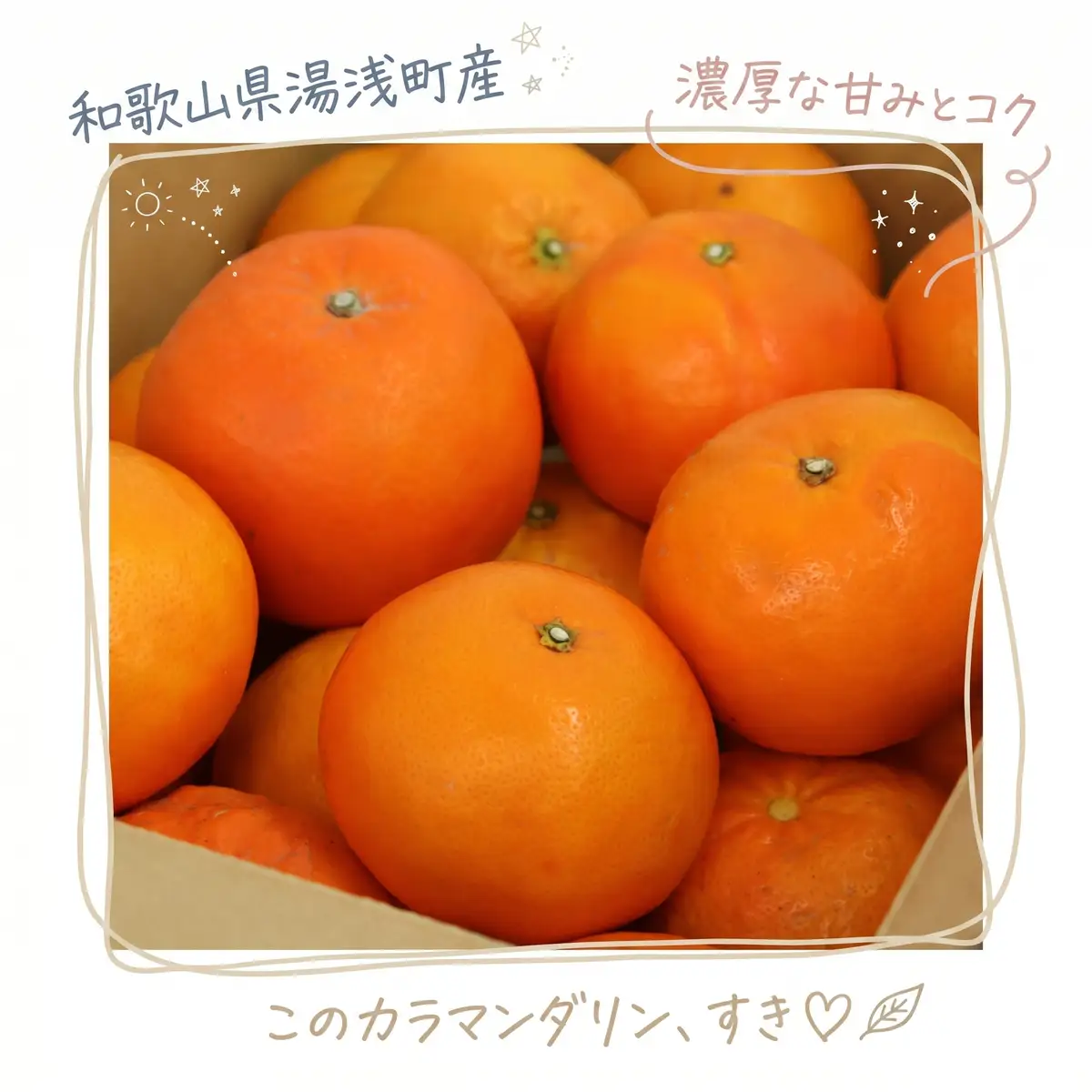 【2027年先行予約】《訳あり 家庭用》カラマンダリン 約3kg（S～2Lサイズ混合）_EQ6005