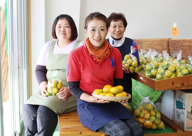 成田果樹園の温州みかん 3kg（ご家庭用）［1816］