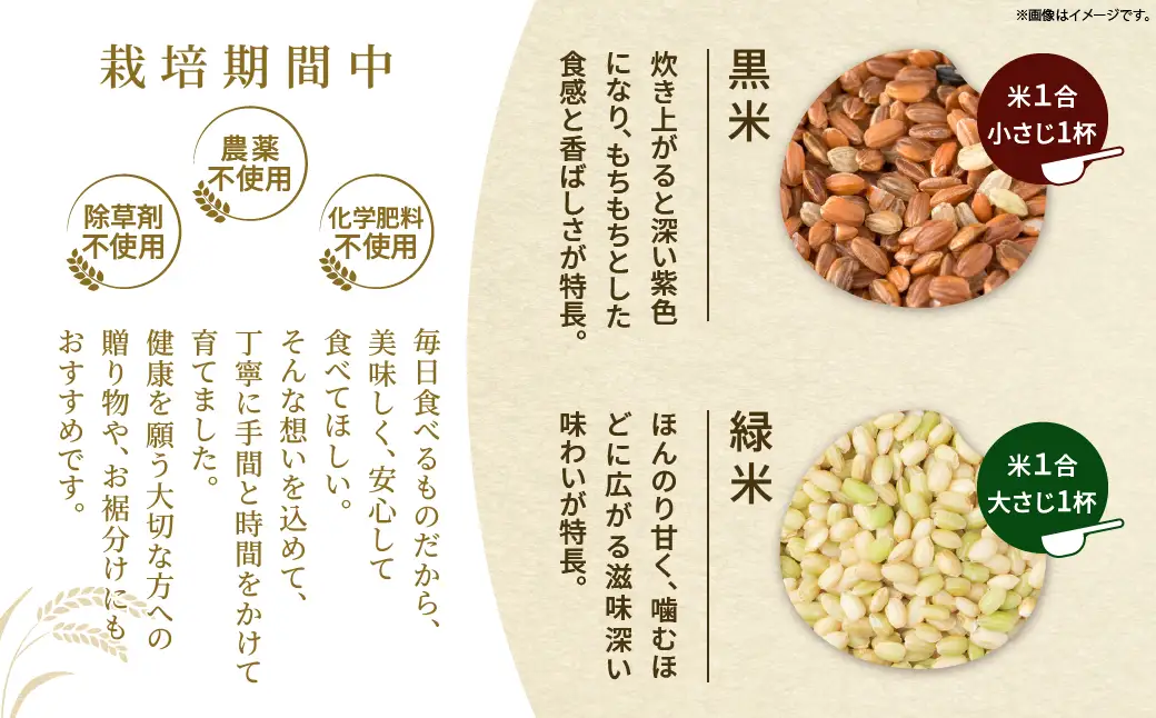 毎日のご飯に栄養と彩りをプラス 古代米（黒米・緑米）セット 合計6袋（140g × 各3袋）雑穀米 国産米 無農薬 農薬不使用 化学肥料不使用 自然栽培 ご飯 米 お米 ブレンド米 彩りご飯 もちもち 白米に混ぜるだけ 食物繊維 希少 国産雑穀 宮崎県 綾町 送料無料_A0038-047