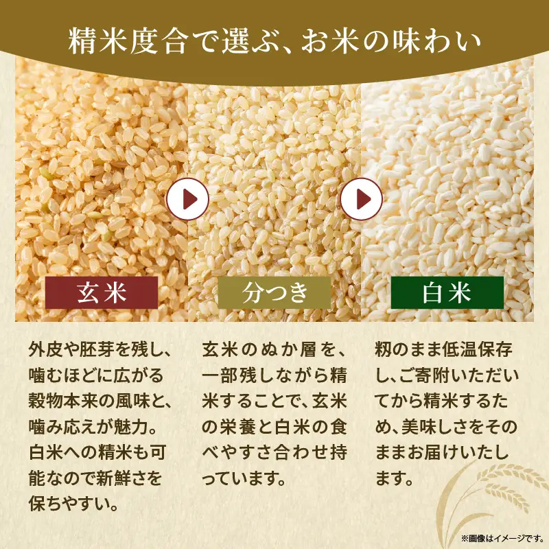 天日干しが引き出す お米の旨味 日向江戸米（にこまる）【玄米】計15kg 国産米 ブランド米 農薬不使用 化学肥料不使用 無農薬 ごはん ご飯 おにぎり お弁当 冷めても美味しい もっちり食感 和食 主食 人気 おすすめ 宮崎県 綾町 送料無料_A0038-031