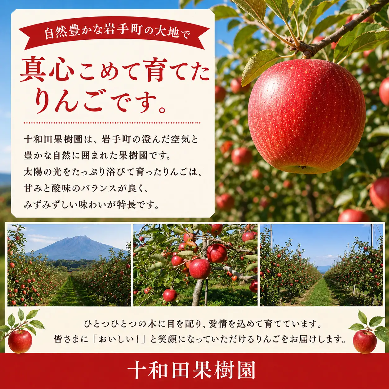 りんご 訳あり サンふじ 約5kg 令和8年産 先行予約
