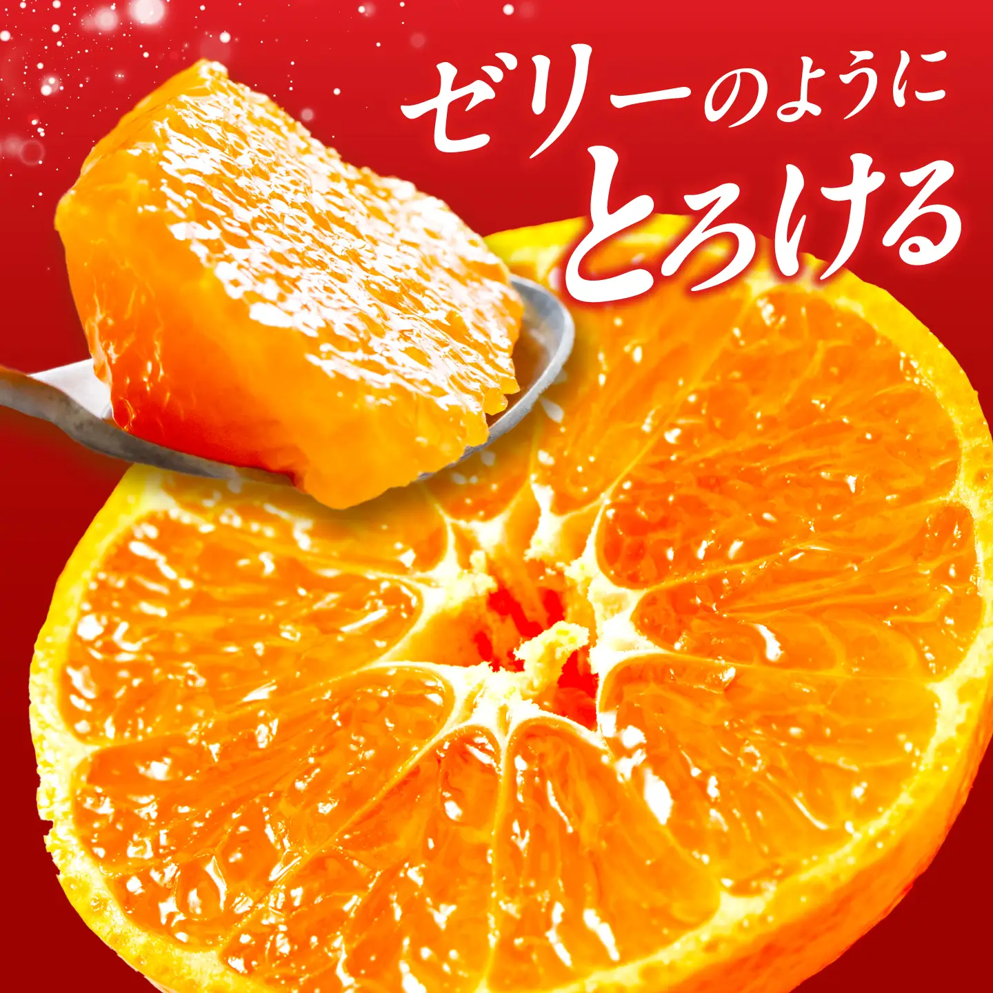 紅まどんな Lサイズ 6個入り 【11月中旬から12月下旬まで順次発送】/ フルーツ 果物 蜜柑 ミカン オレンジ 小玉 甘い 先行予約 箱 愛媛 / 愛媛県砥部町/株式会社フジ・アグリフーズ[BJBI017]