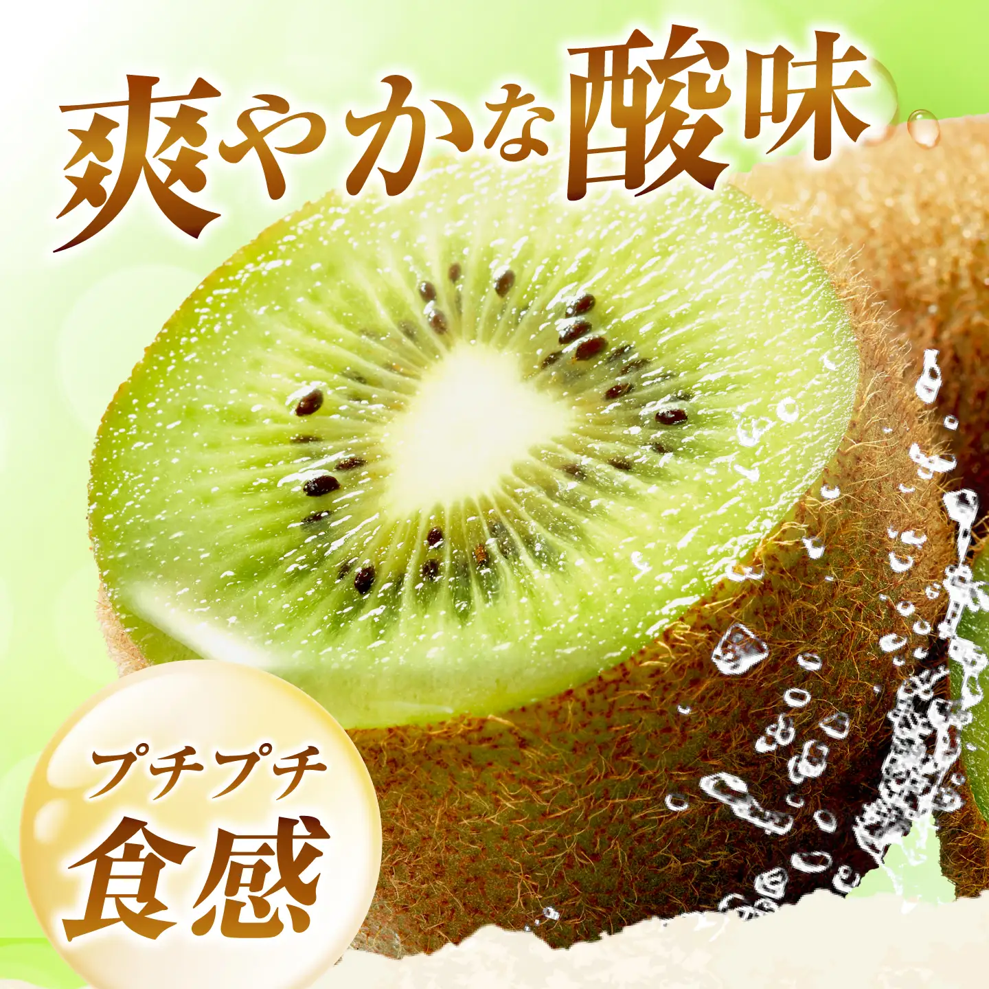 キウイフルーツ グリーンキウイ ご家庭用 M-2Lサイズ 約2.5kg 【1月上旬から3月下旬まで順次発送】 / フルーツ 果物 キウイ キューイ キゥイ キュウイ グリーン 甘い 先行予約 愛媛 おすすめ / 愛媛県砥部町/株式会社フジ・アグリフーズ[BJBI019]