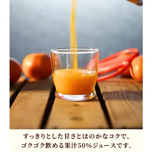 JAみっかび 三ヶ日みかん粒入りドリンク 1本190g×24本 みかん 飲むみかん うんしゅう 温州みかん 果汁50％ 果粒入 つぶつぶ食感 贅沢みかん 静岡 浜松市