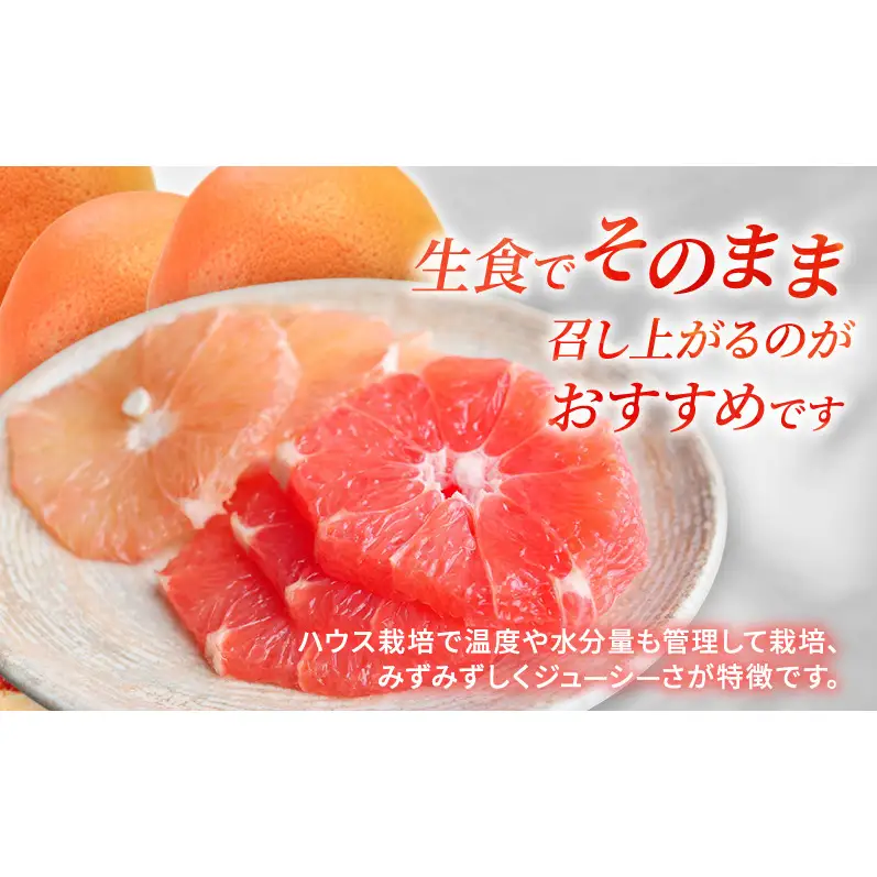 【2027年4月上旬より順次発送】【訳あり】静岡県浜松市産グレープフルーツ 約2.5kg（5～12個） 果物 くだもの フルーツ 果物類 柑橘類 旬のフルーツ 季節の果物 静岡 浜松市